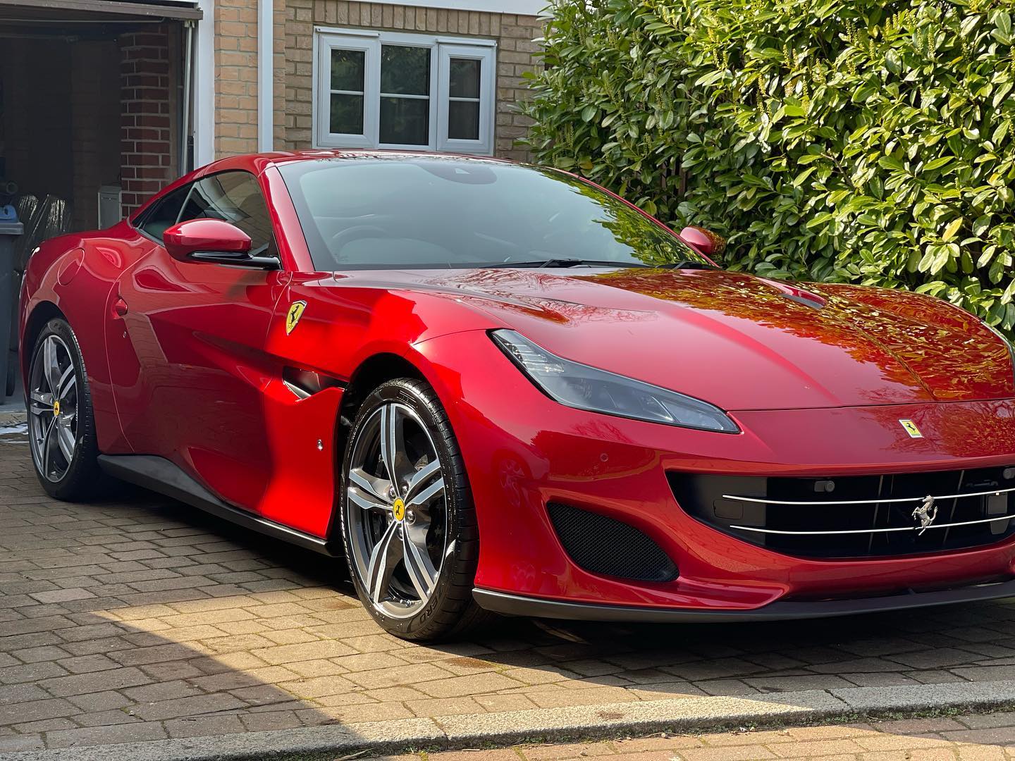 Members Club Subscription - Standard Early Bird